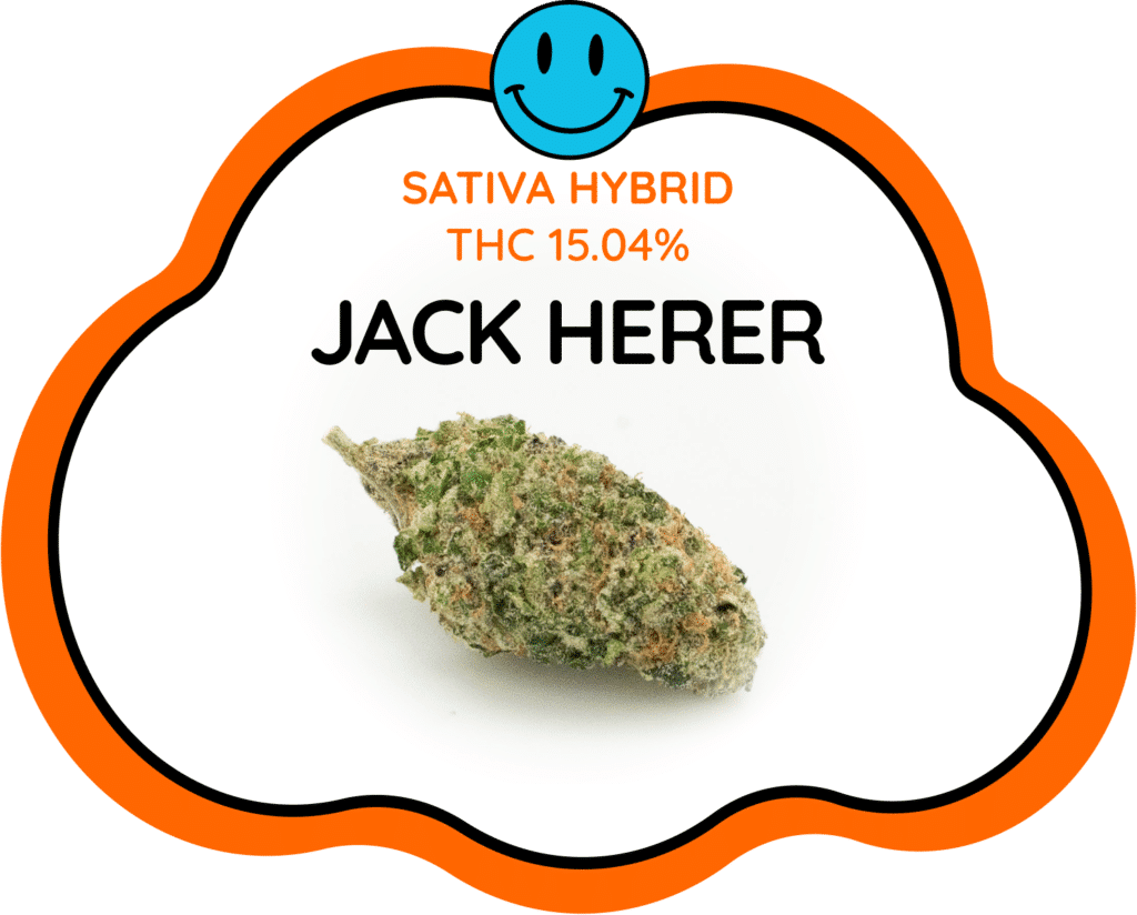 Jack Herer Strain