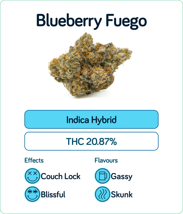 Blueberry fuego