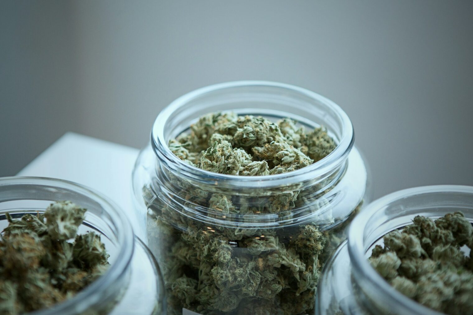 cannabis club in Thailand