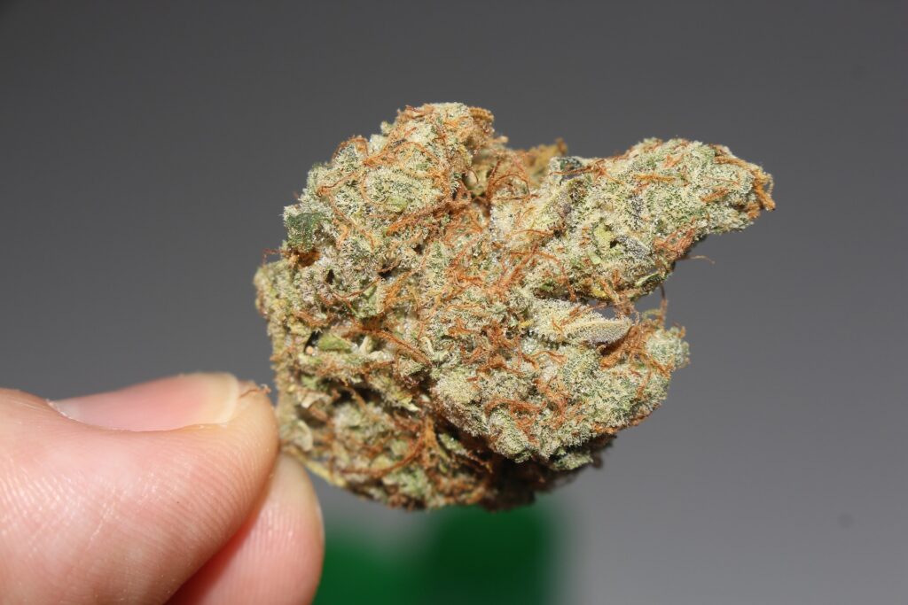 Weed Strain Guide: Choosing the Right Variety in 2024