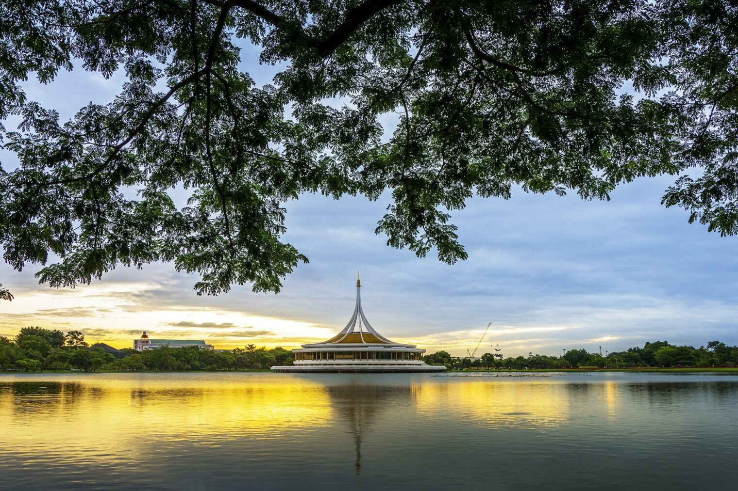 Bangkok Weed History