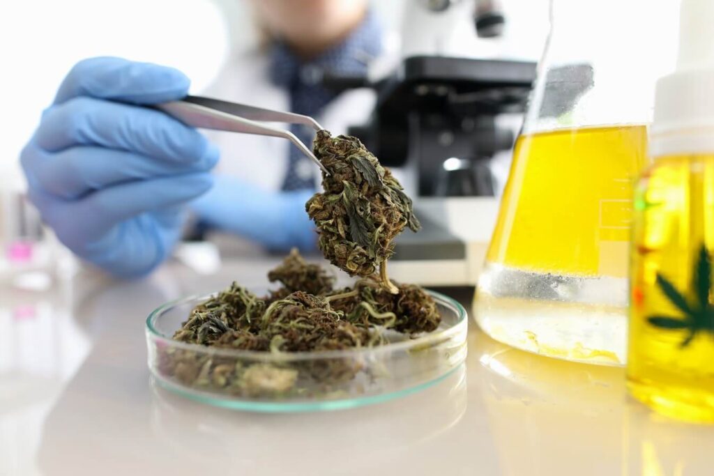 How Cannabis Testing is Ensuring Safety for Consumers