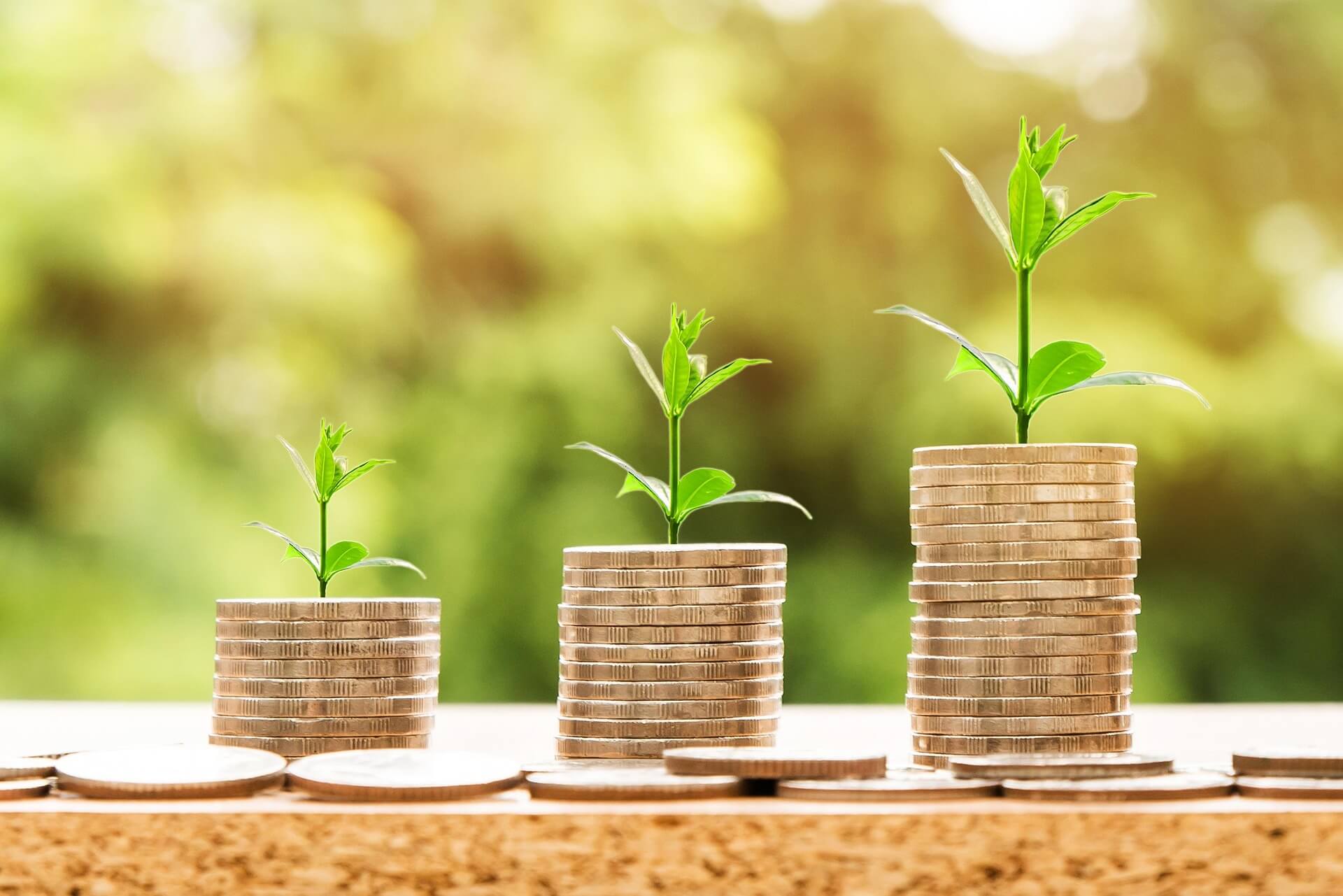 Thai weed investments in 2025