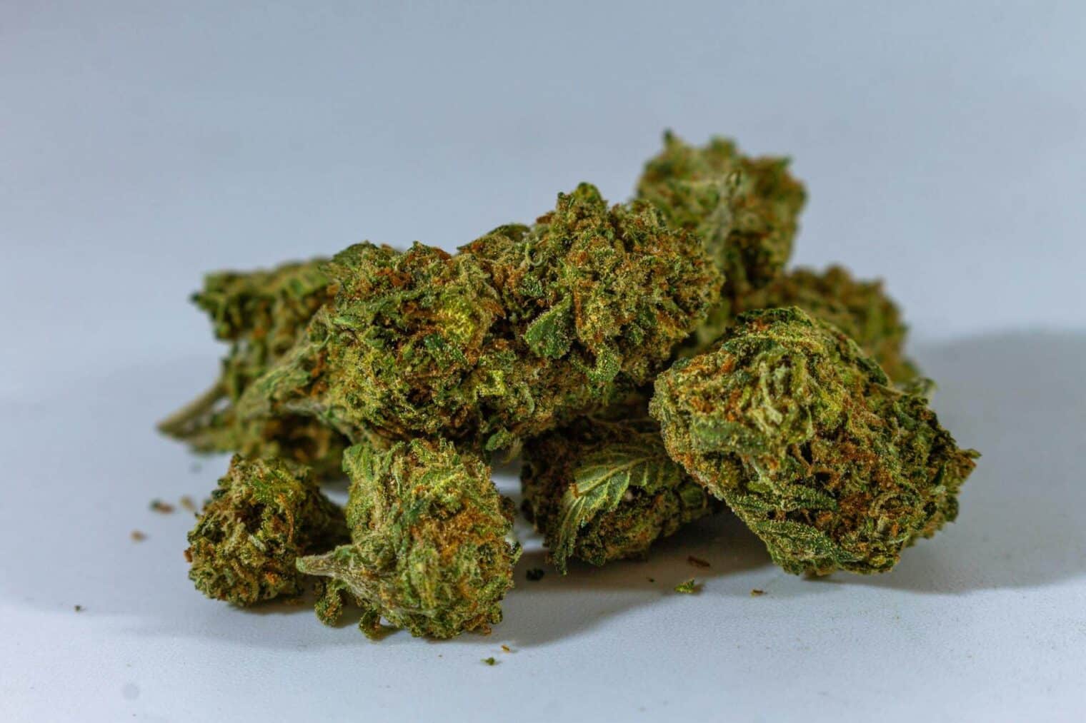 The Best Cannabis Strains for Socializing