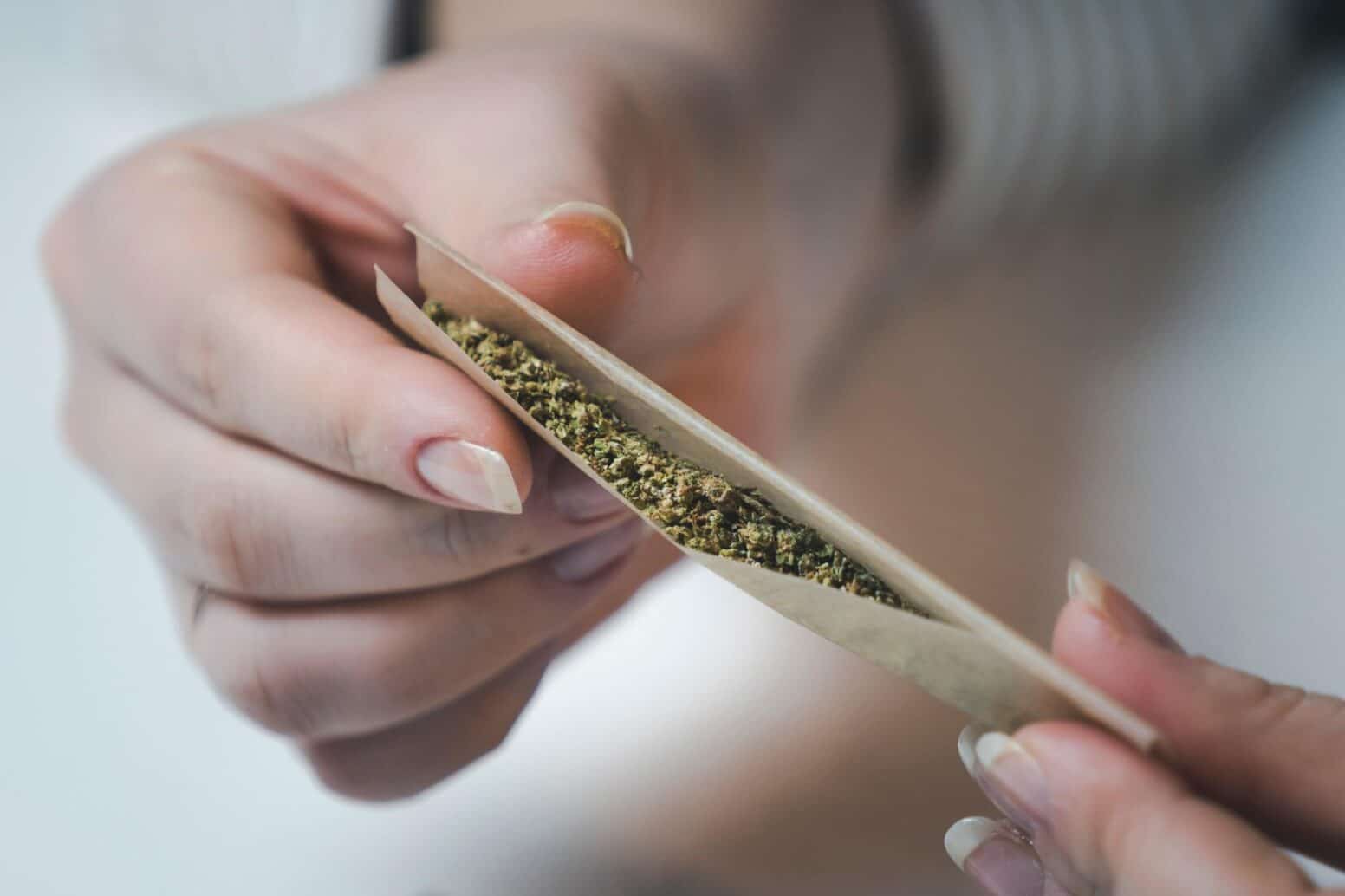 roll a perfect joint in 2025