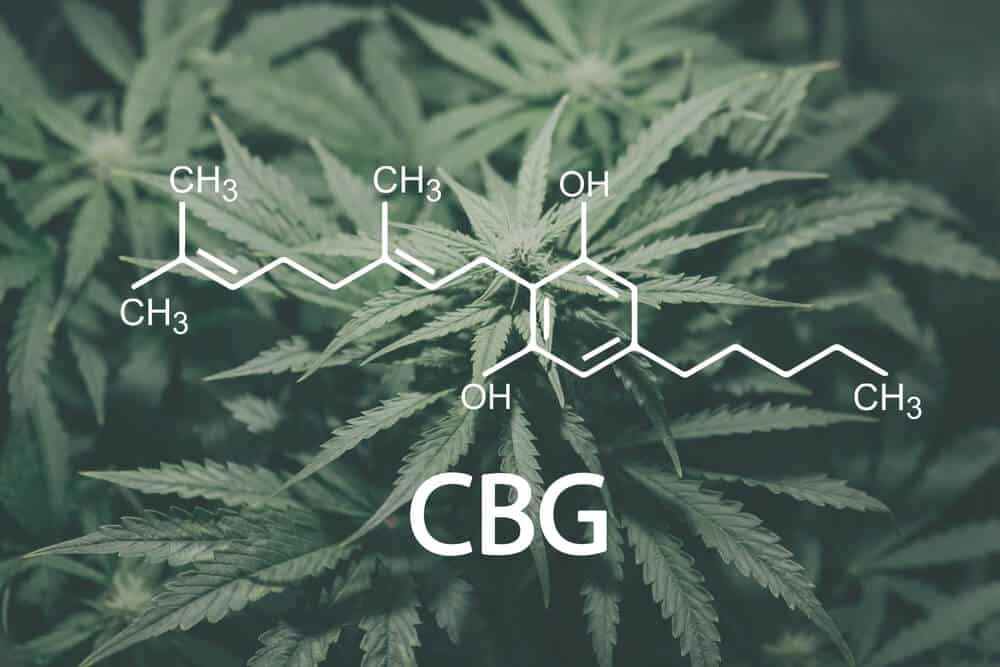 what is Cannabigerol (CBG)?