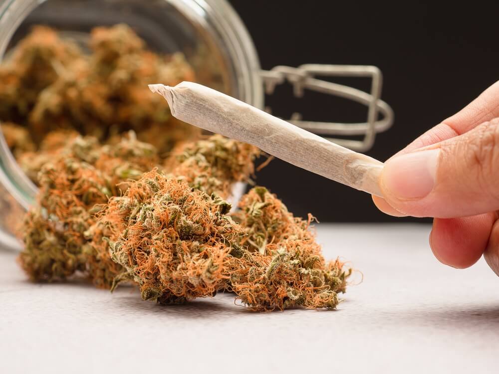 Cannabis Sommelier in 2025