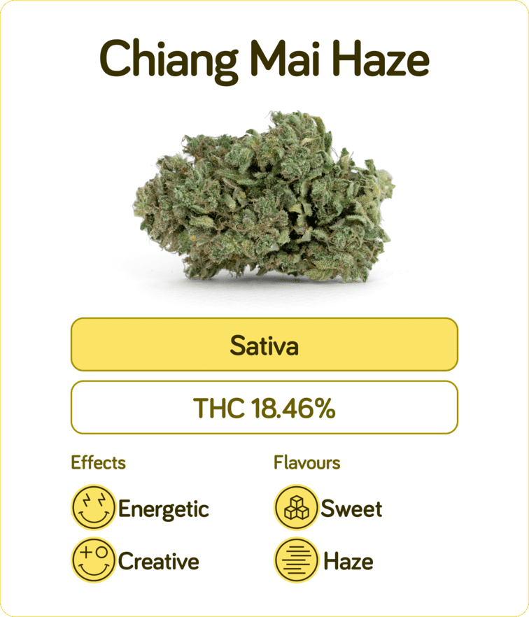 Chiang mai haze