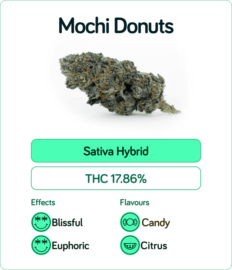 Mochi Donutz