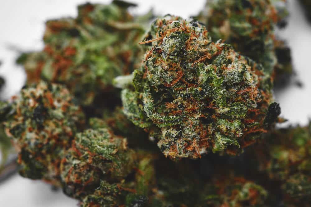 the evolution of OG Kush