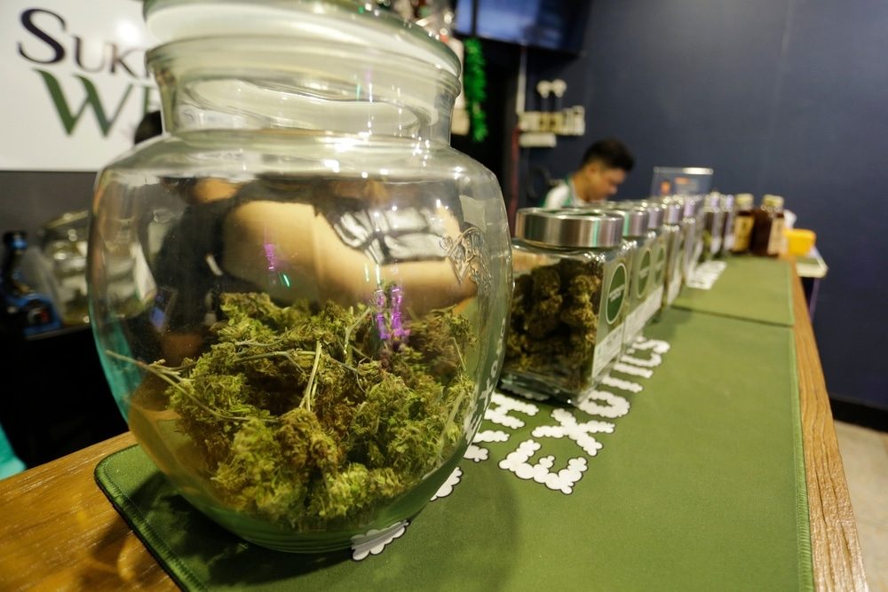 Imported Vs Local Weed In Bangkok