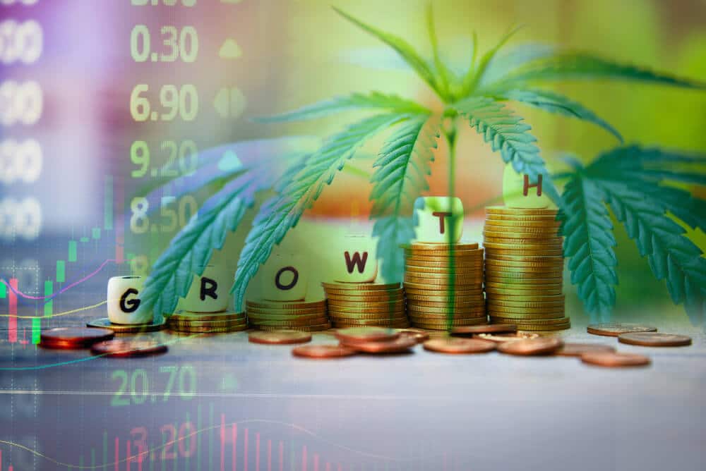 best Thailand Cannabis Prices In 2025