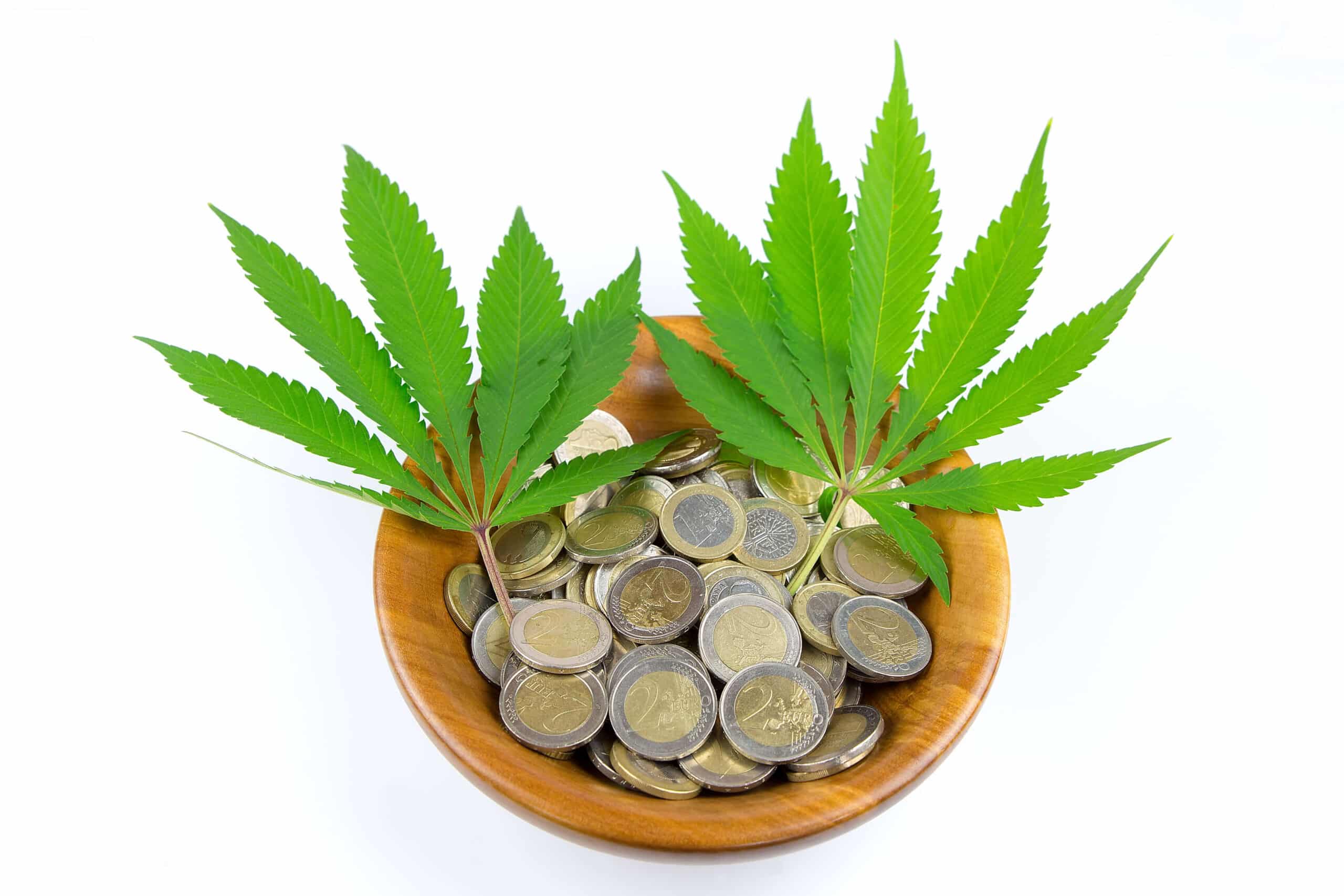 Thailand Cannabis Prices In 2025
