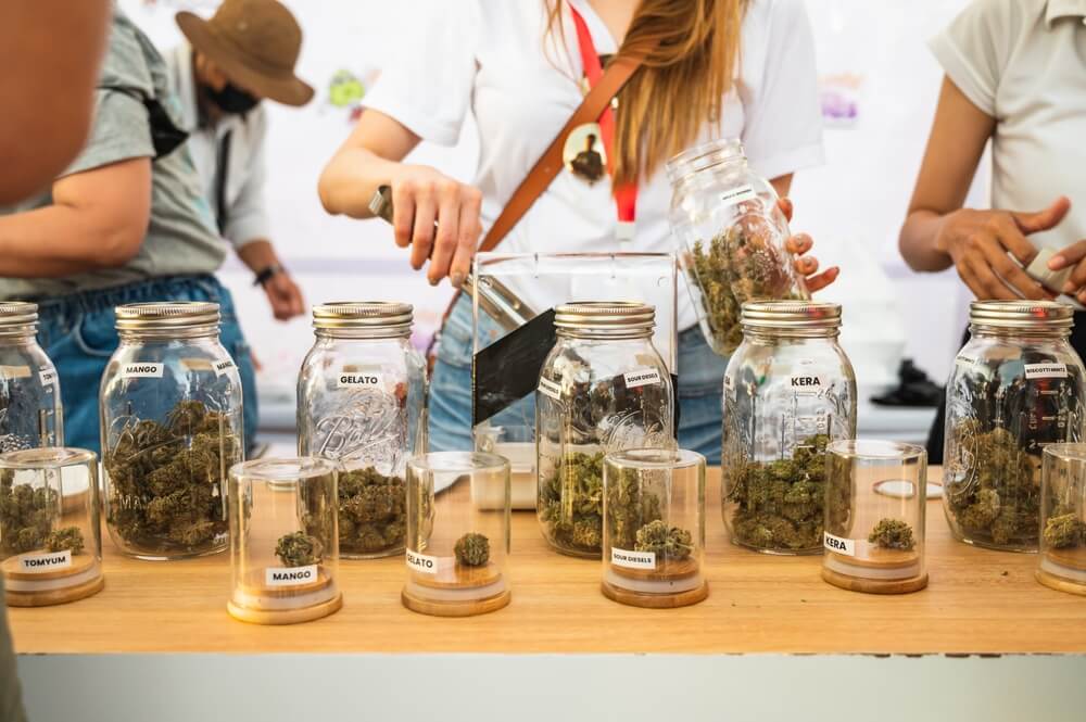 Buy Legal Cannabis In Bangkok