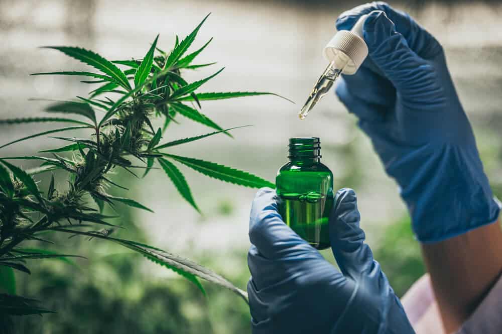 CBD And Medical Marijuana