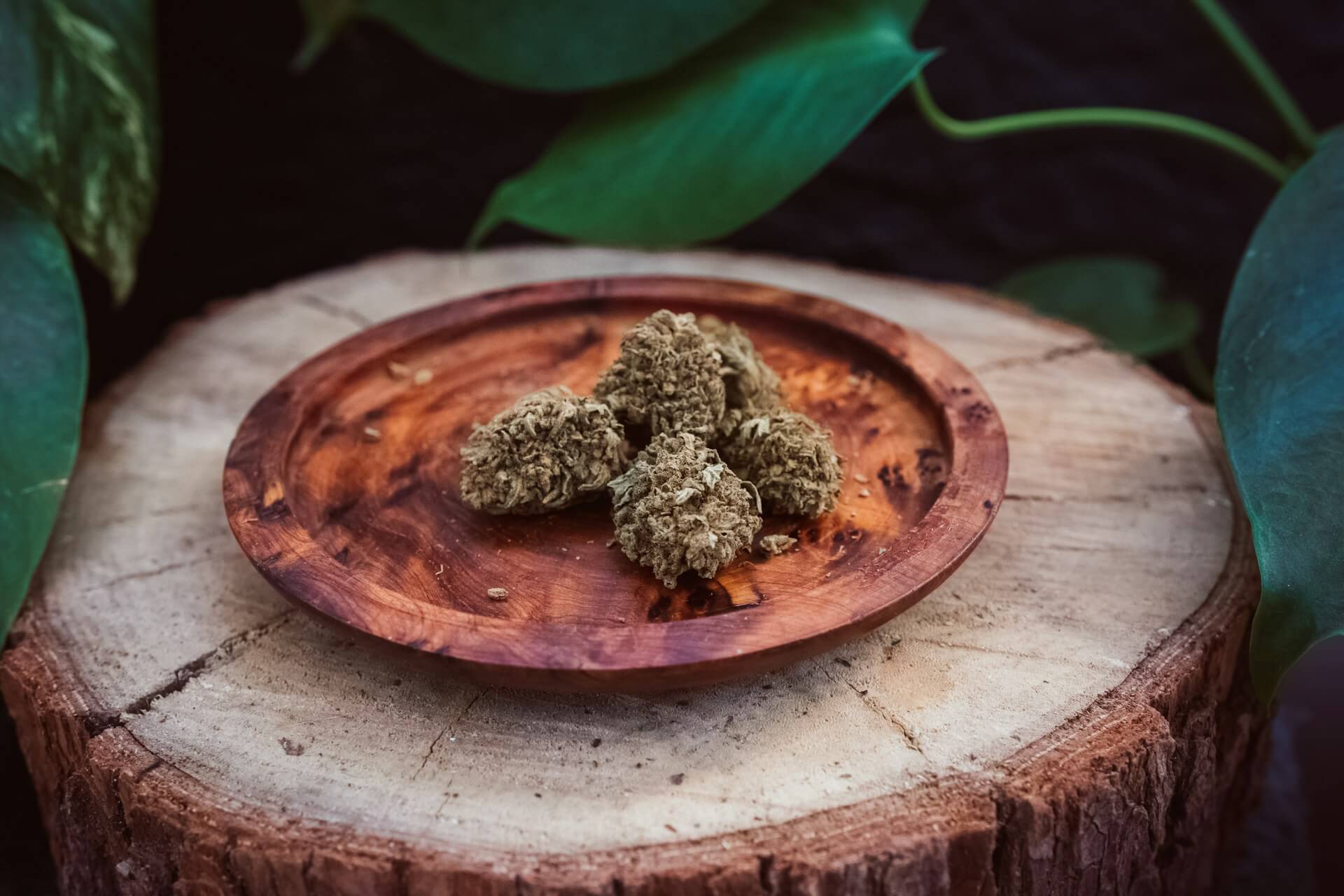 Cannabis Menus in Bangkok Explained