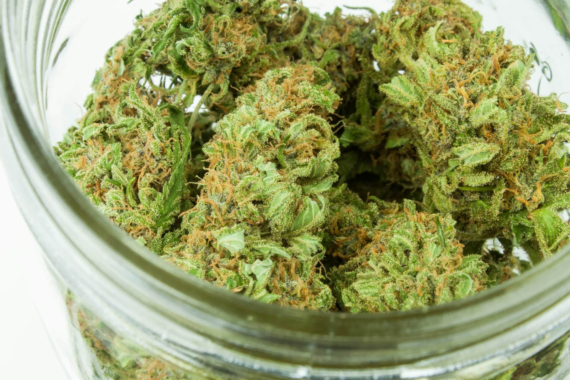 top shelf cannabis in Bangkok in 2026