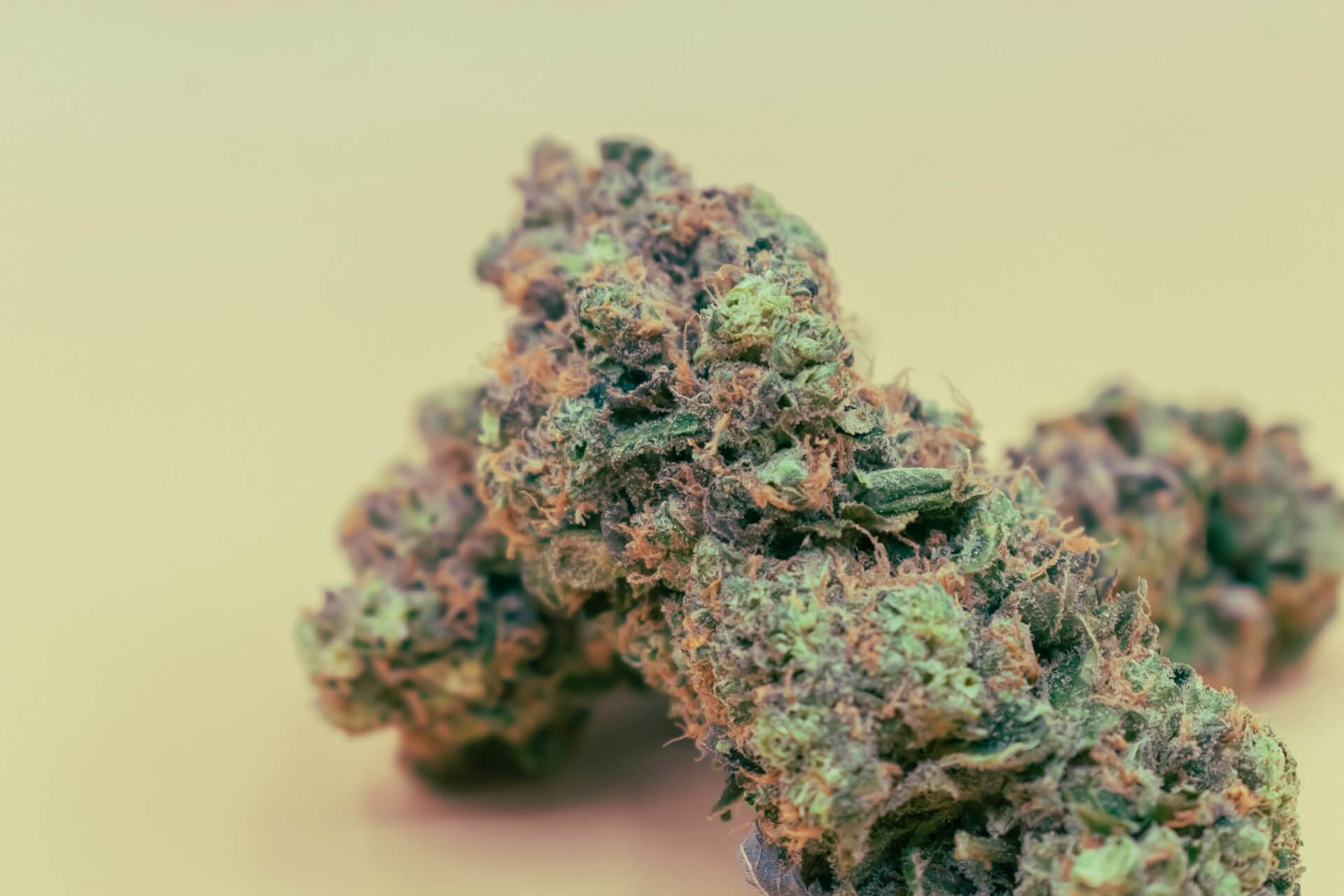 Cannabis lifestyle consumers in Bangkok in 2026
