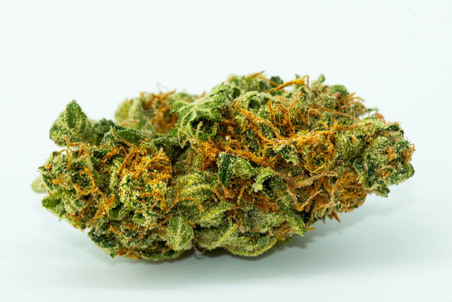 Premium Thai Cannabis Flower in Bangkok: Why Source and Quality Matter