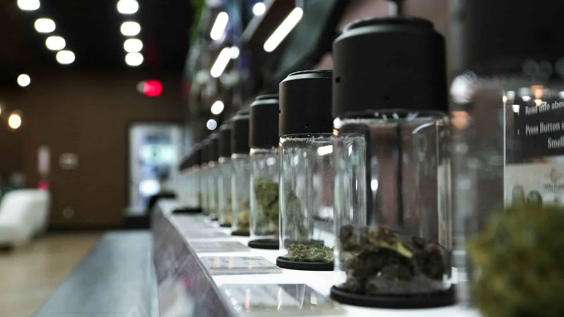 Trusted Legal Dispensaries in Bangkok