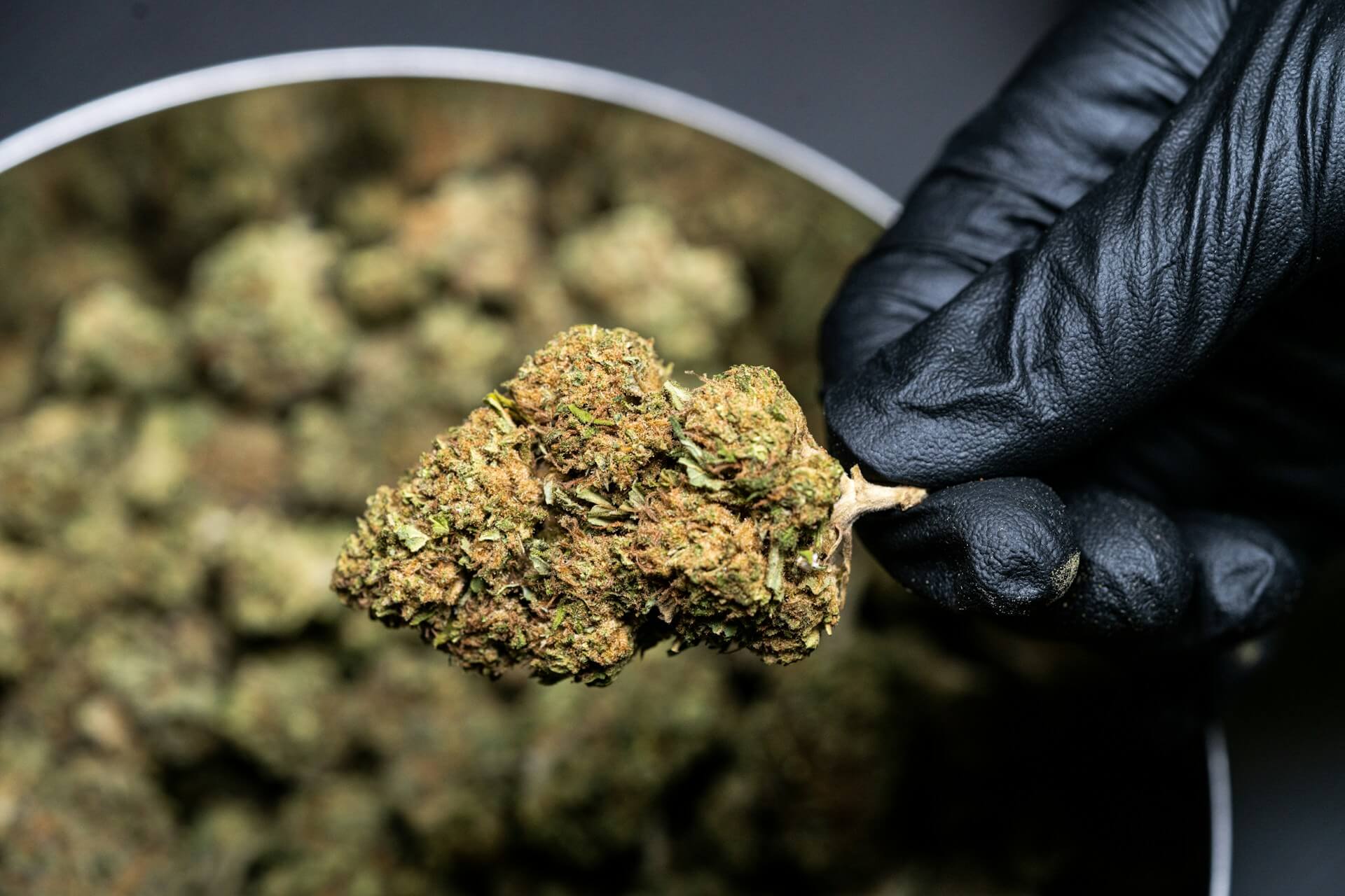 Product Discovery in Bangkok’s Cannabis Scene: Why Customers Want More Than a Menu