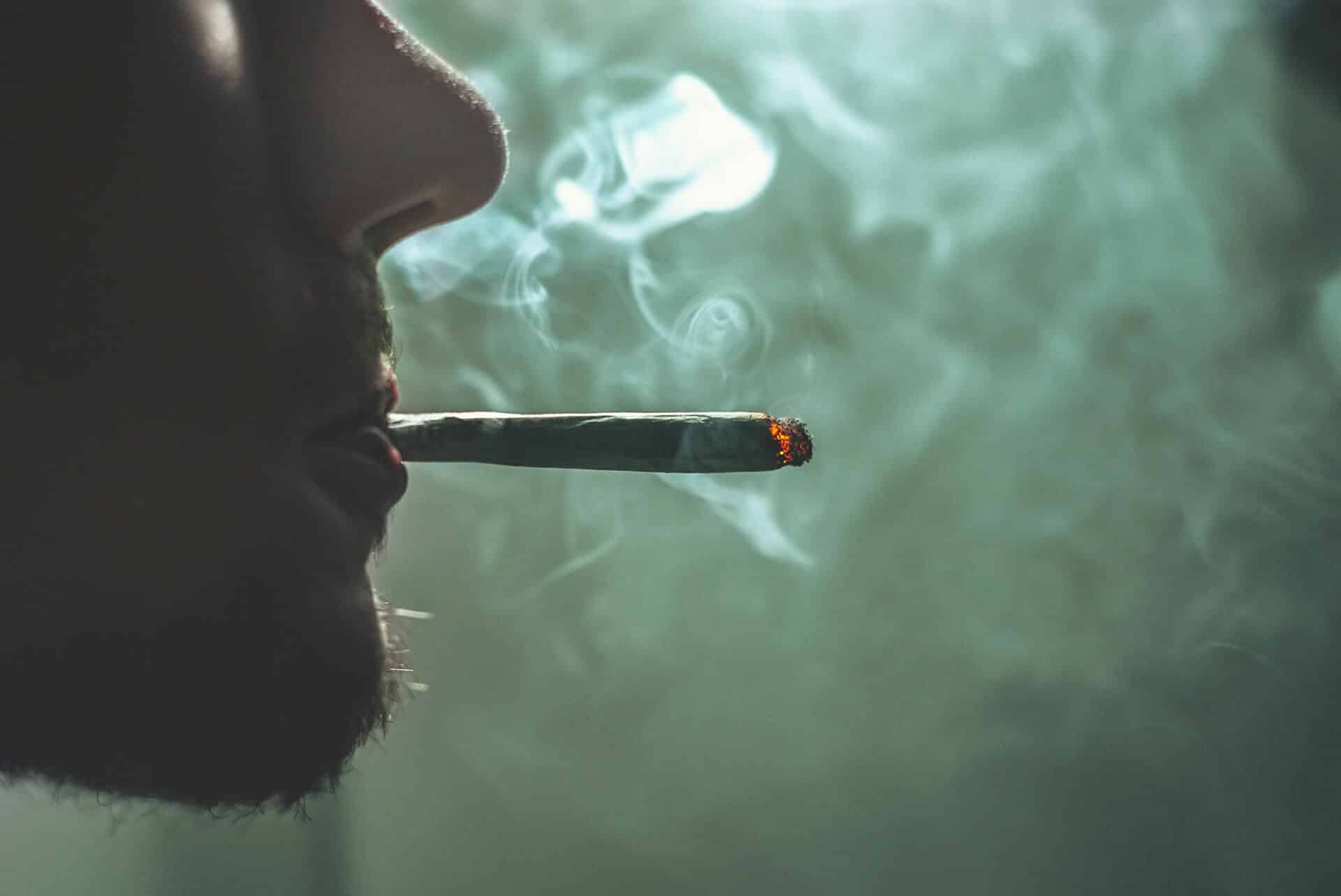 white ash weed