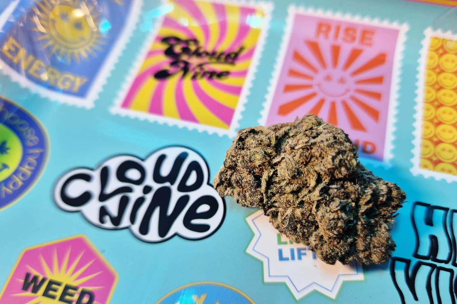 Weed Shop Near Me in Bangkok: How to Find a Licensed Dispensary