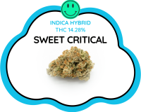 SWEET CRITICAL